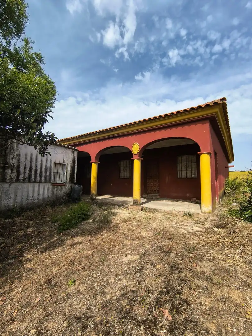 Vista exterior de Finca rústica en venda en Arcos de la Frontera