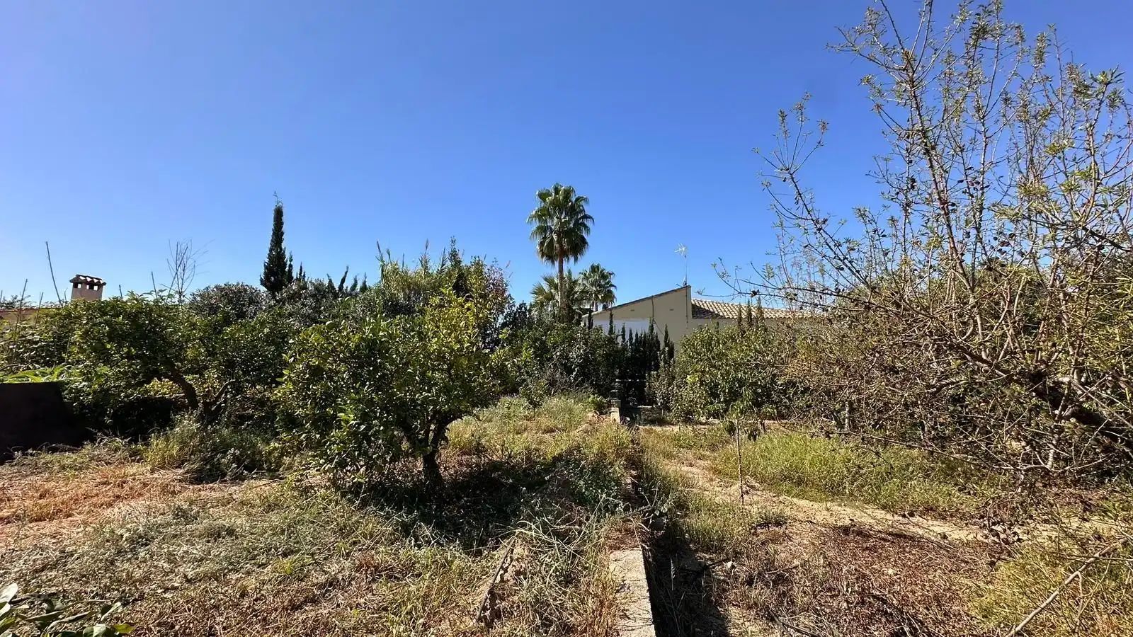 Chalet con piscina en venta en Alfarb, imagen 58