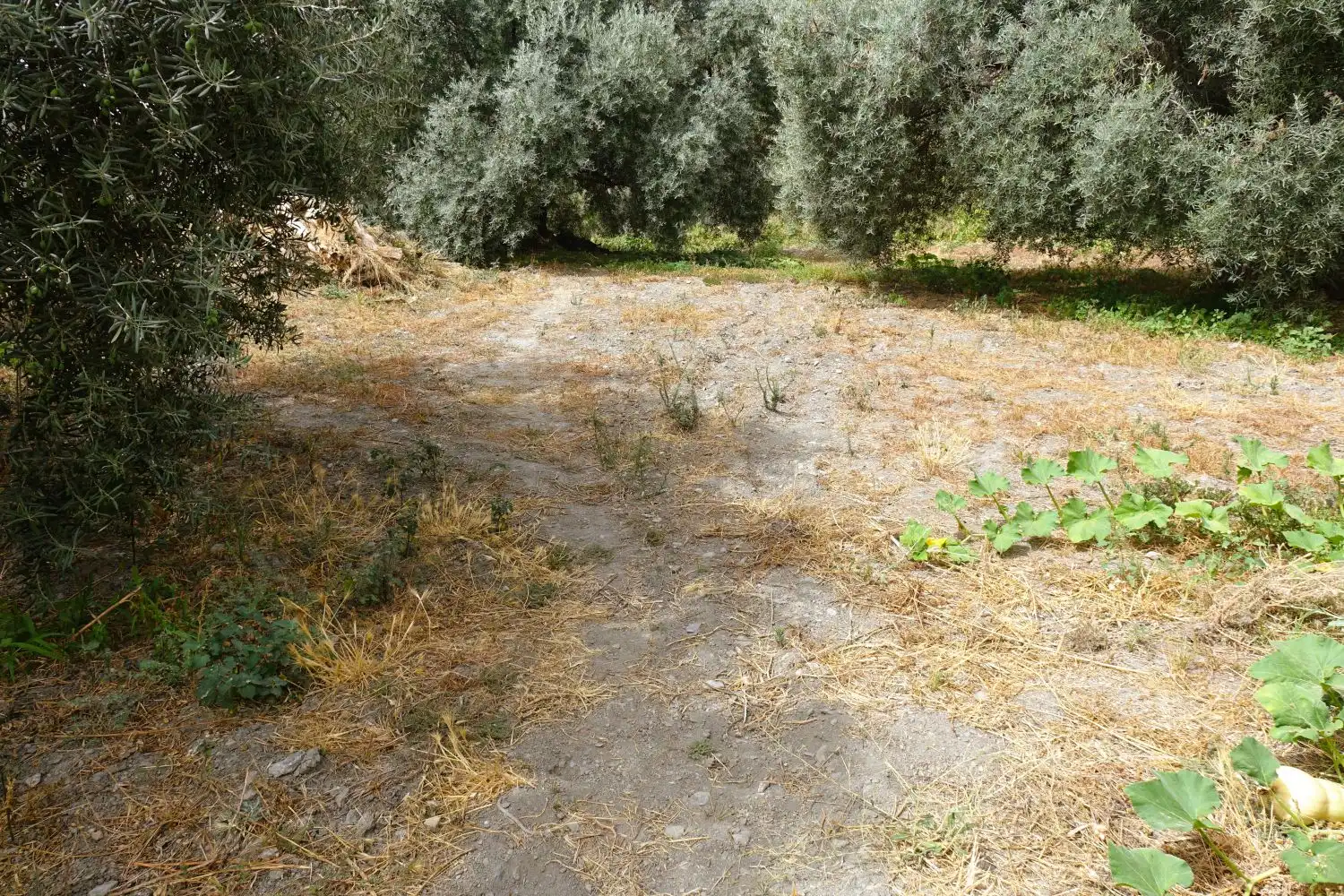 Finca rústica en venda en Órgiva