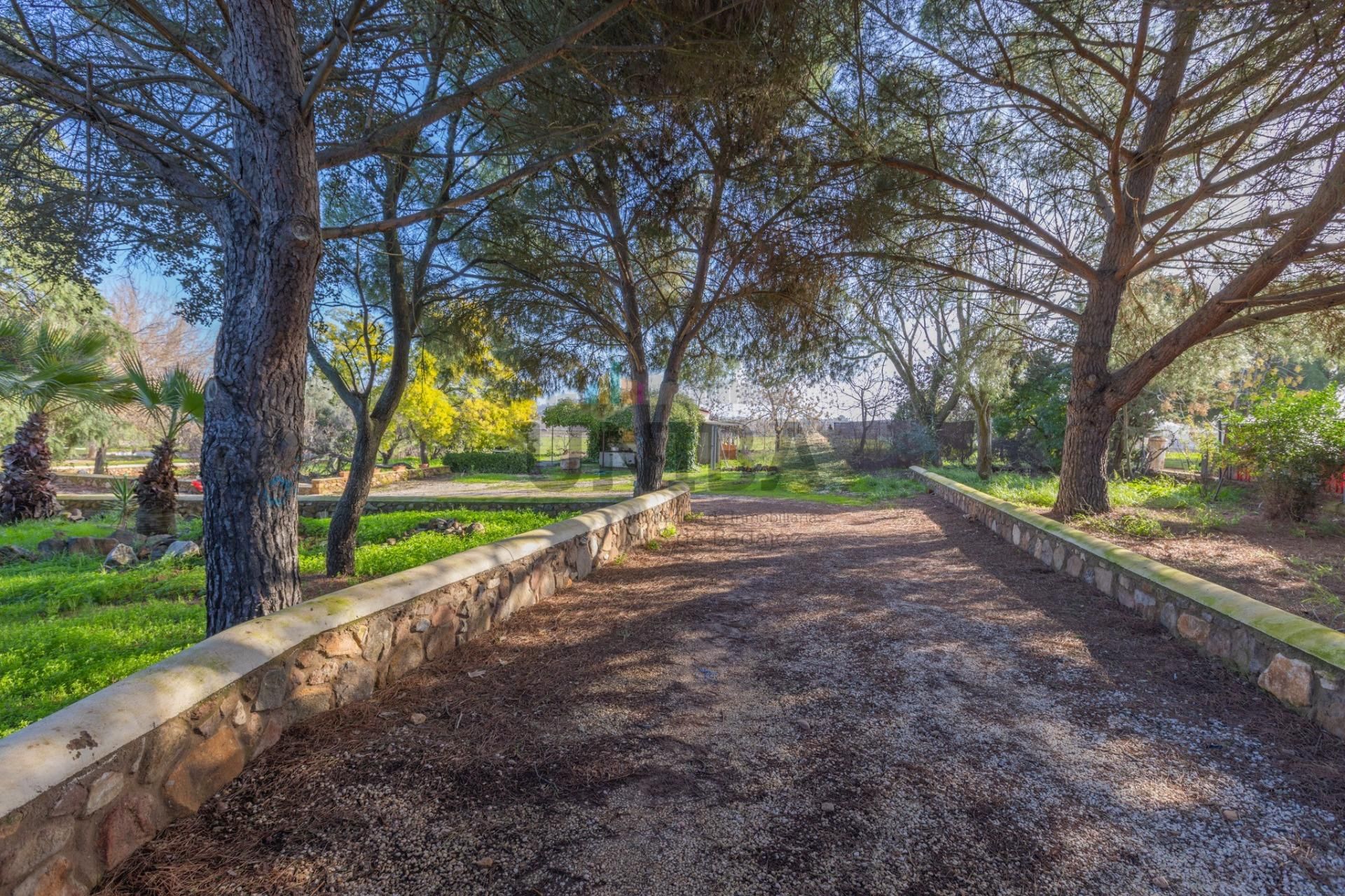 Jardín de Casa o chalet en venta en Badajoz Capital con Aire acondicionado, Jardín privado y Terraza
