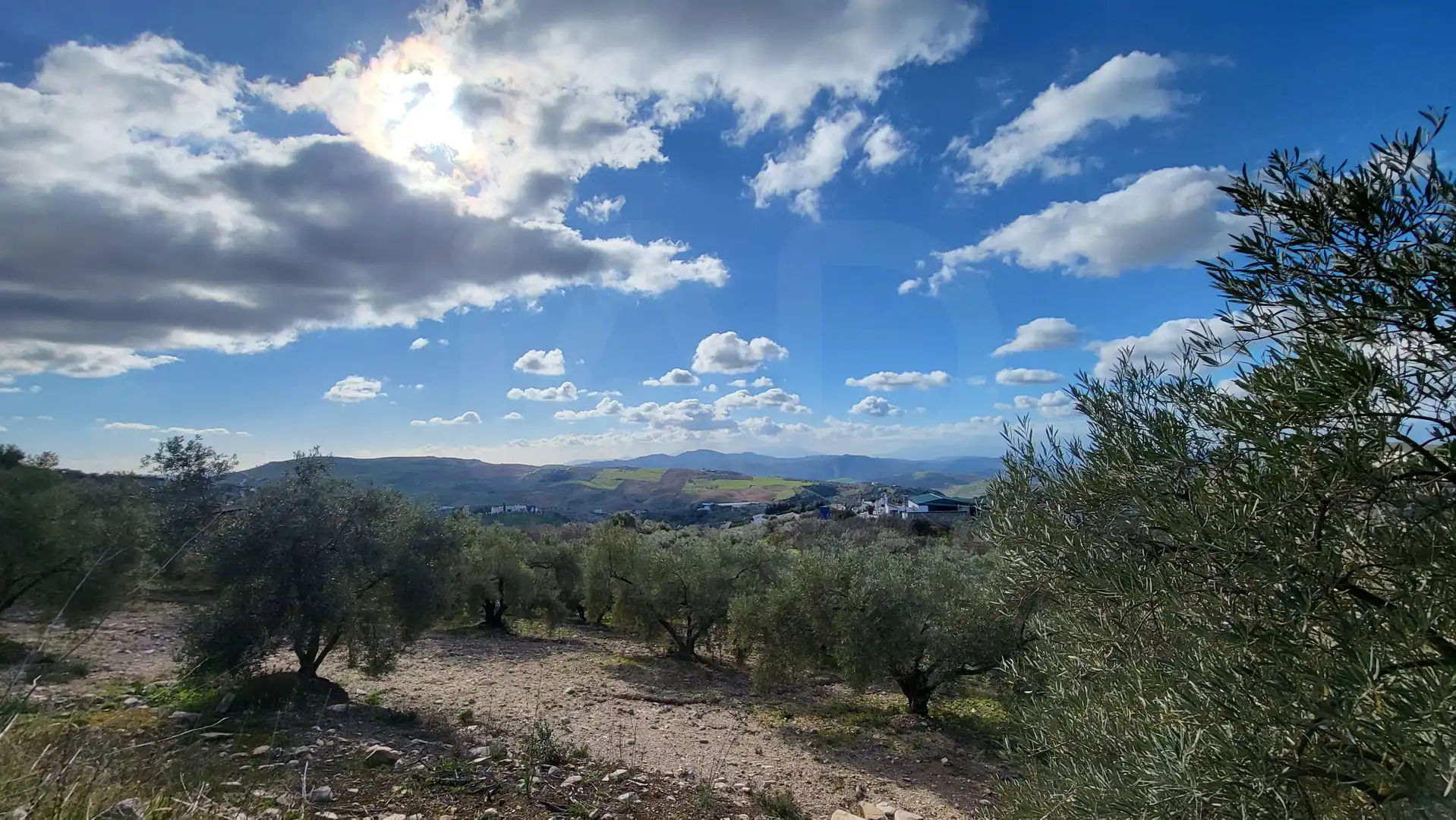 Casa o chalet en venta en Antequera con Calefacción y Terraza