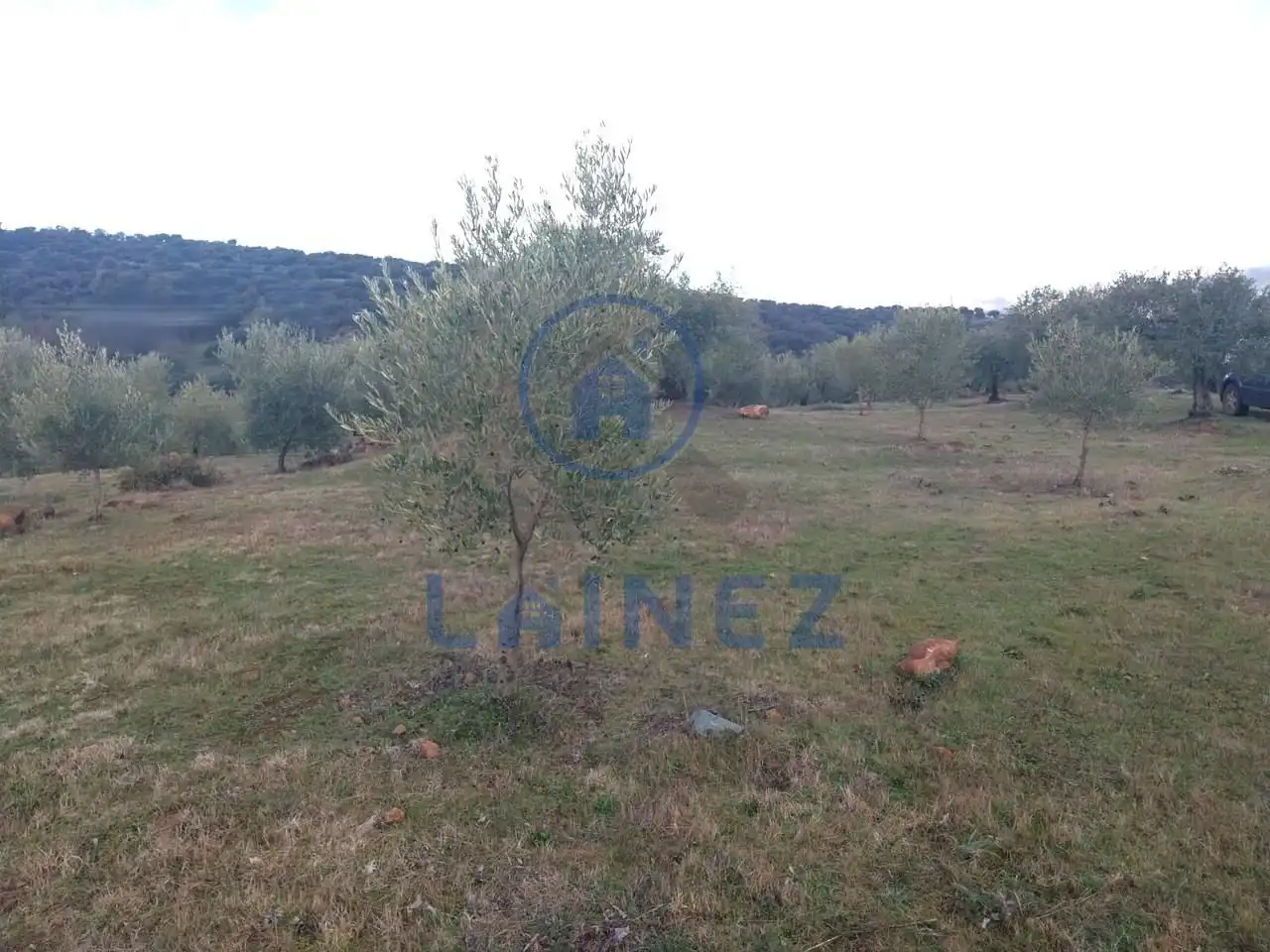 Grundstücke und Bauplätze zum Verkauf in Belmez, imagen 3