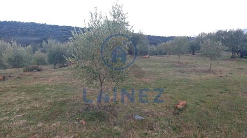 Imagen 3 del anuncio