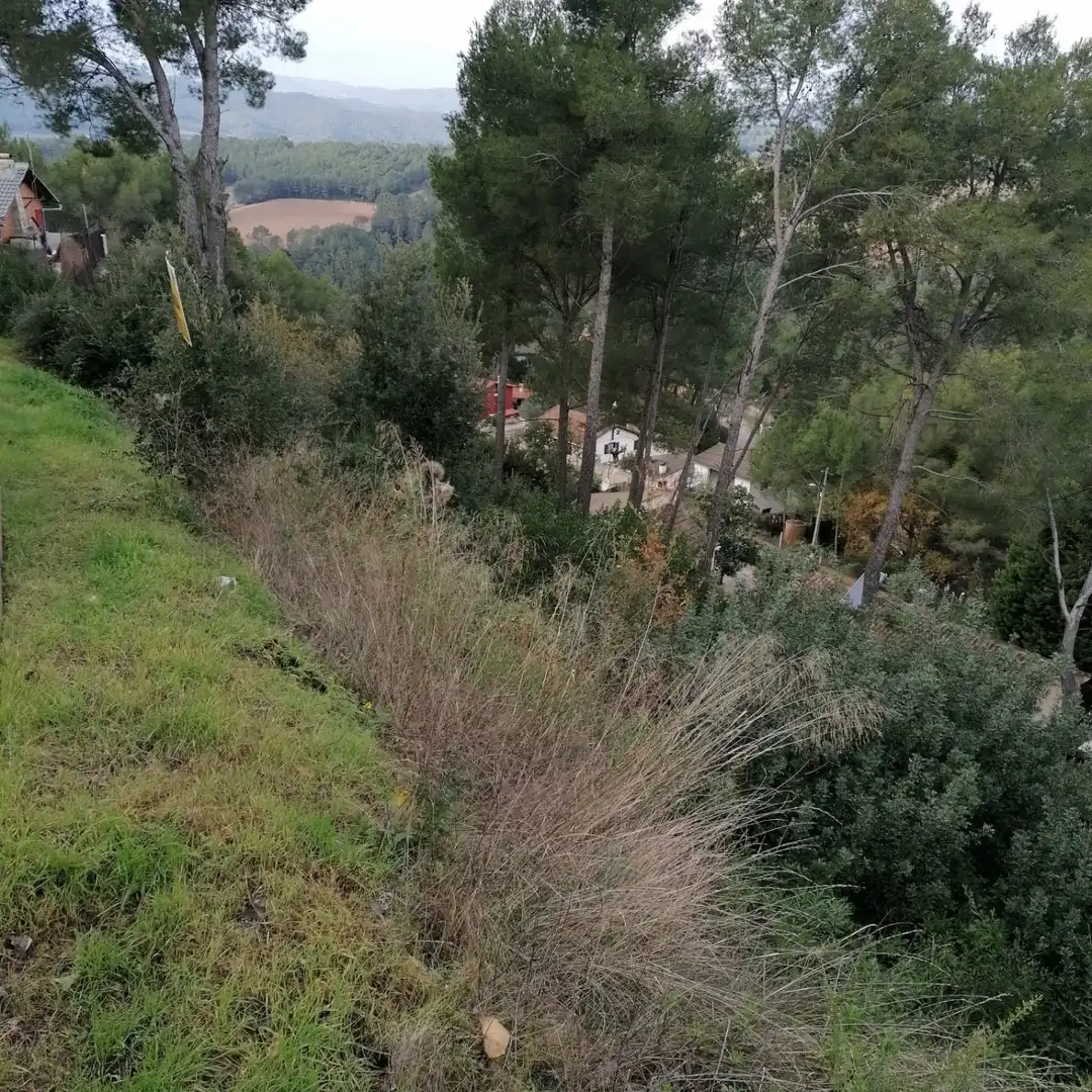Terrenos y solares en venta en Piera, imagen 4