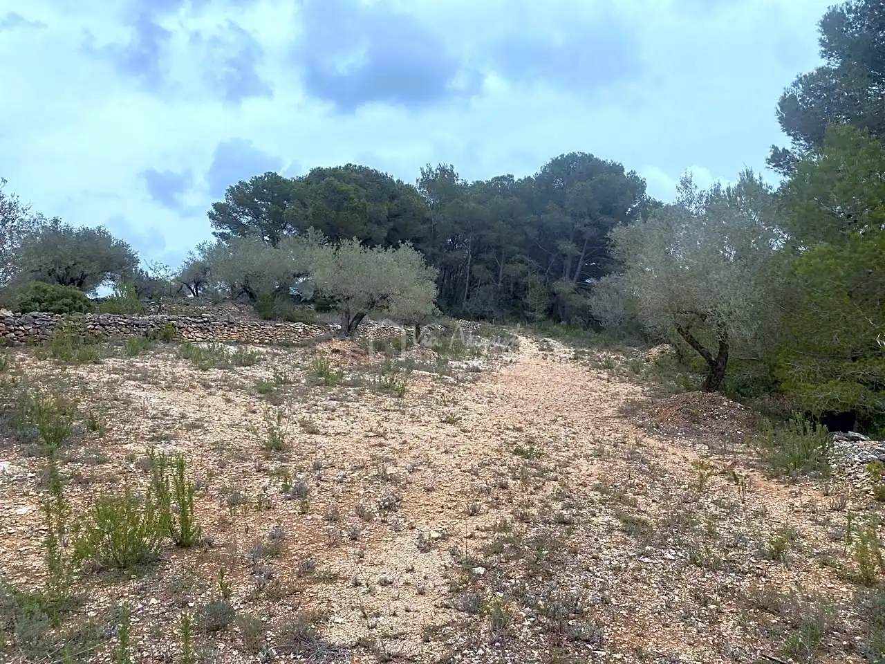 Terreno rustico in vendita a Burga, imagen 16
