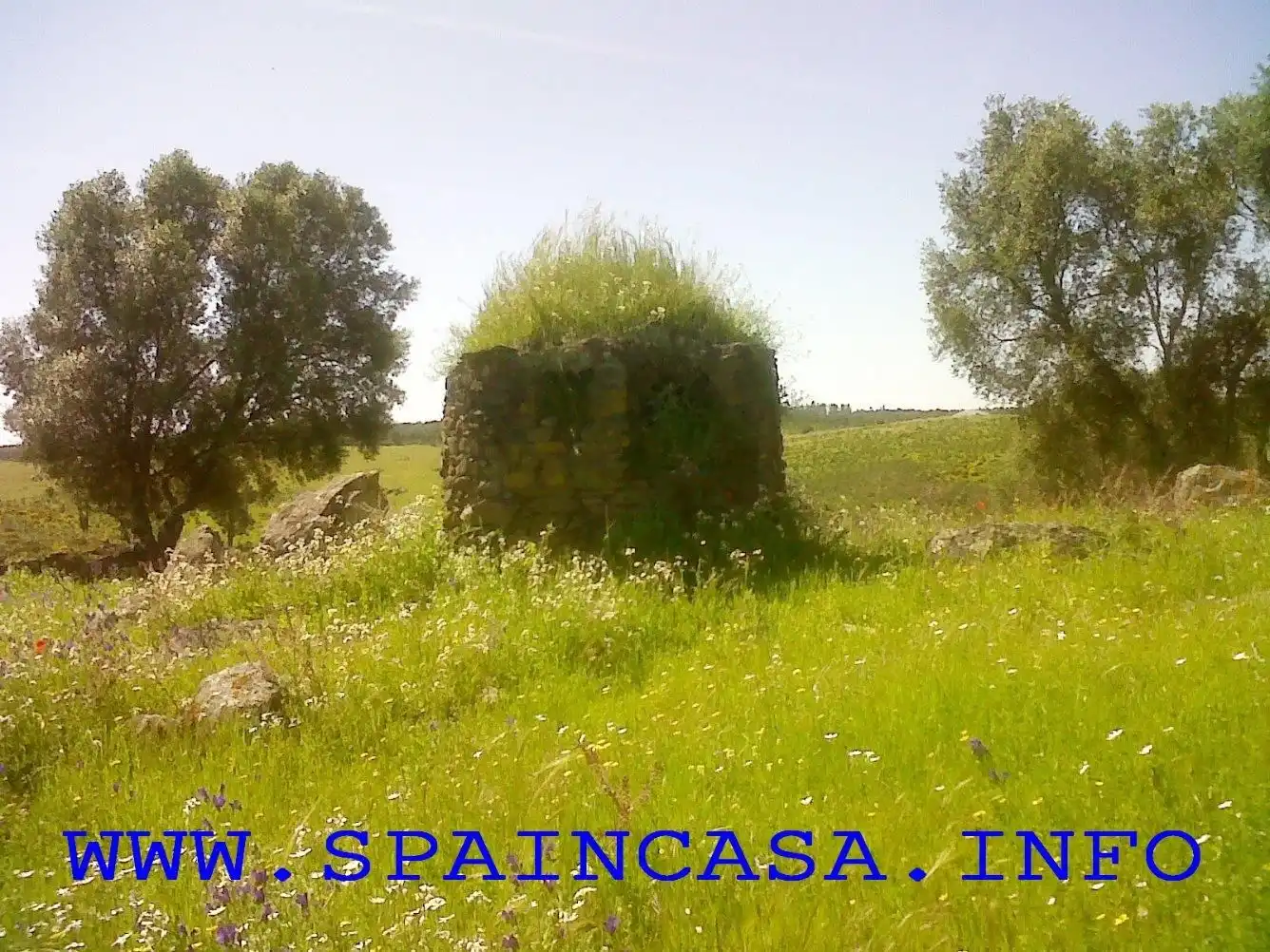 Terrenys i solars en venda a Beas, imagen 2