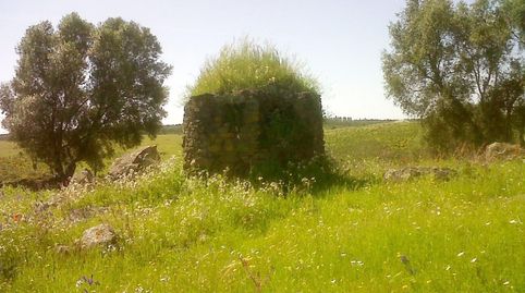 REF-4221 -FINCA ARROYO DEL AGUILA -BEAS -FINCA DE SECANO-2??6??2??3??8??2??, immagine 2