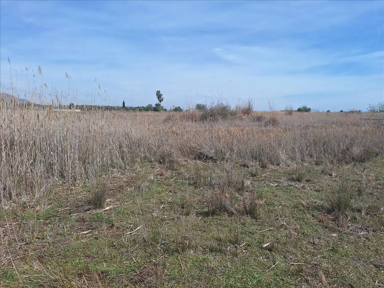 Residencial en venta en POLIGONO 13 PARCELA 31, POLIGONO 1, -1, Playa del Puig