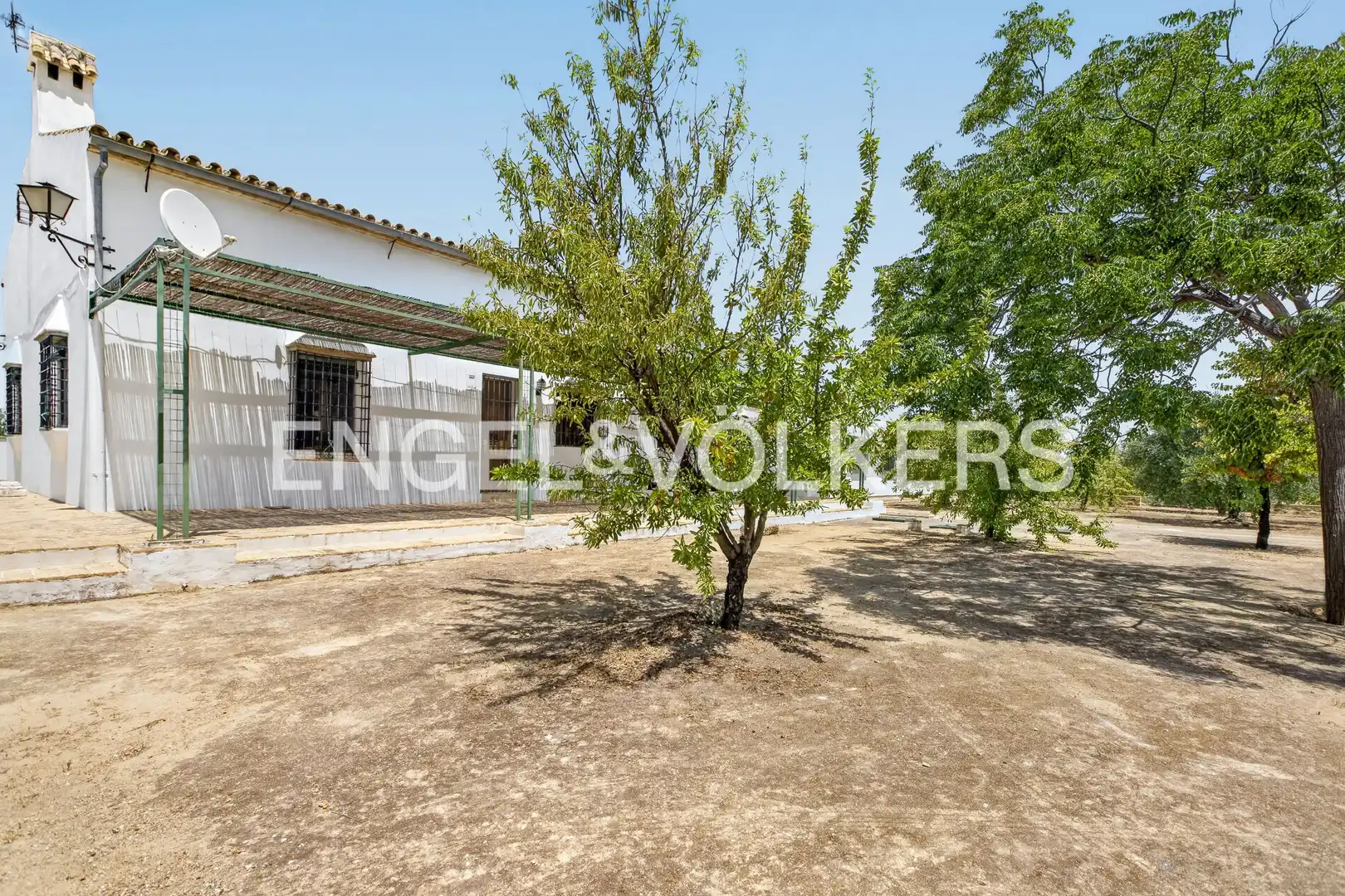 Vista exterior de Casa o chalet en venta en Osuna con Calefacción, Jardín privado y Piscina