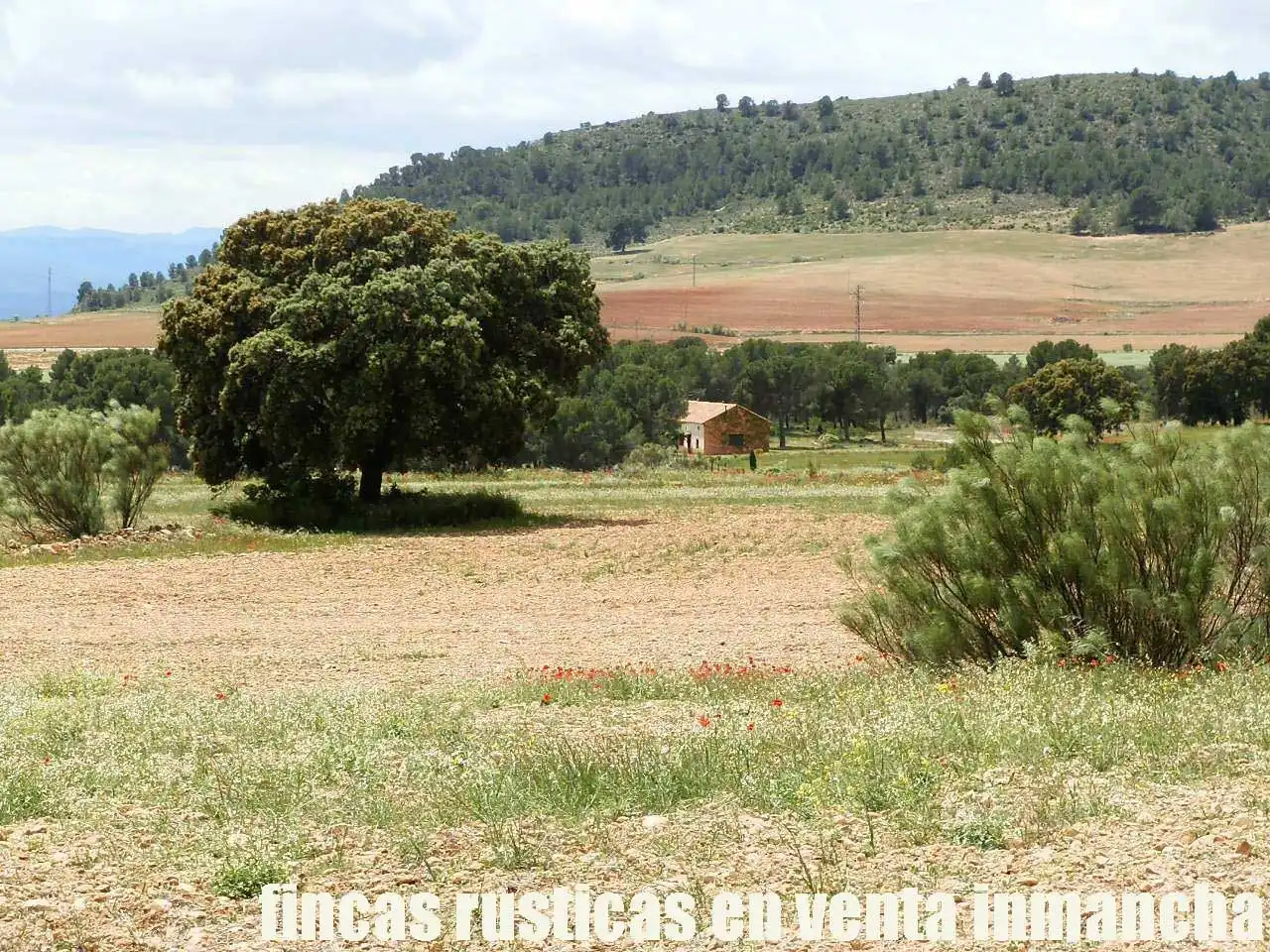Terreni e lotti in vendita a Elche de la Sierra, imagen 27