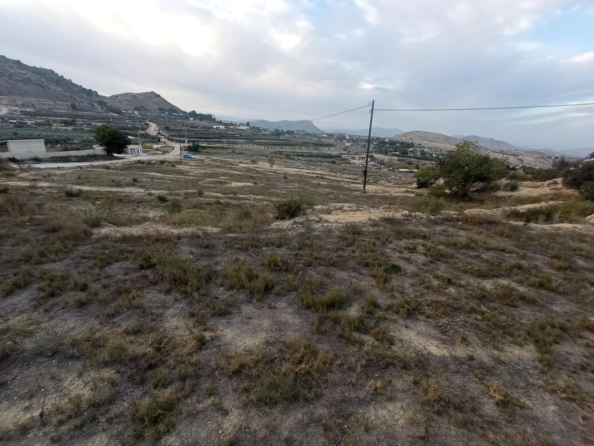 Land for sale in Aspe