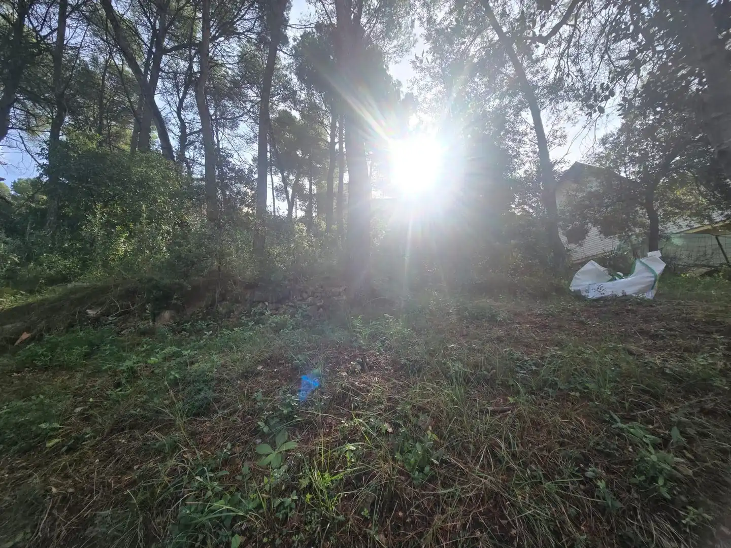 Lands and plots for sale in Airesol, imagen 12