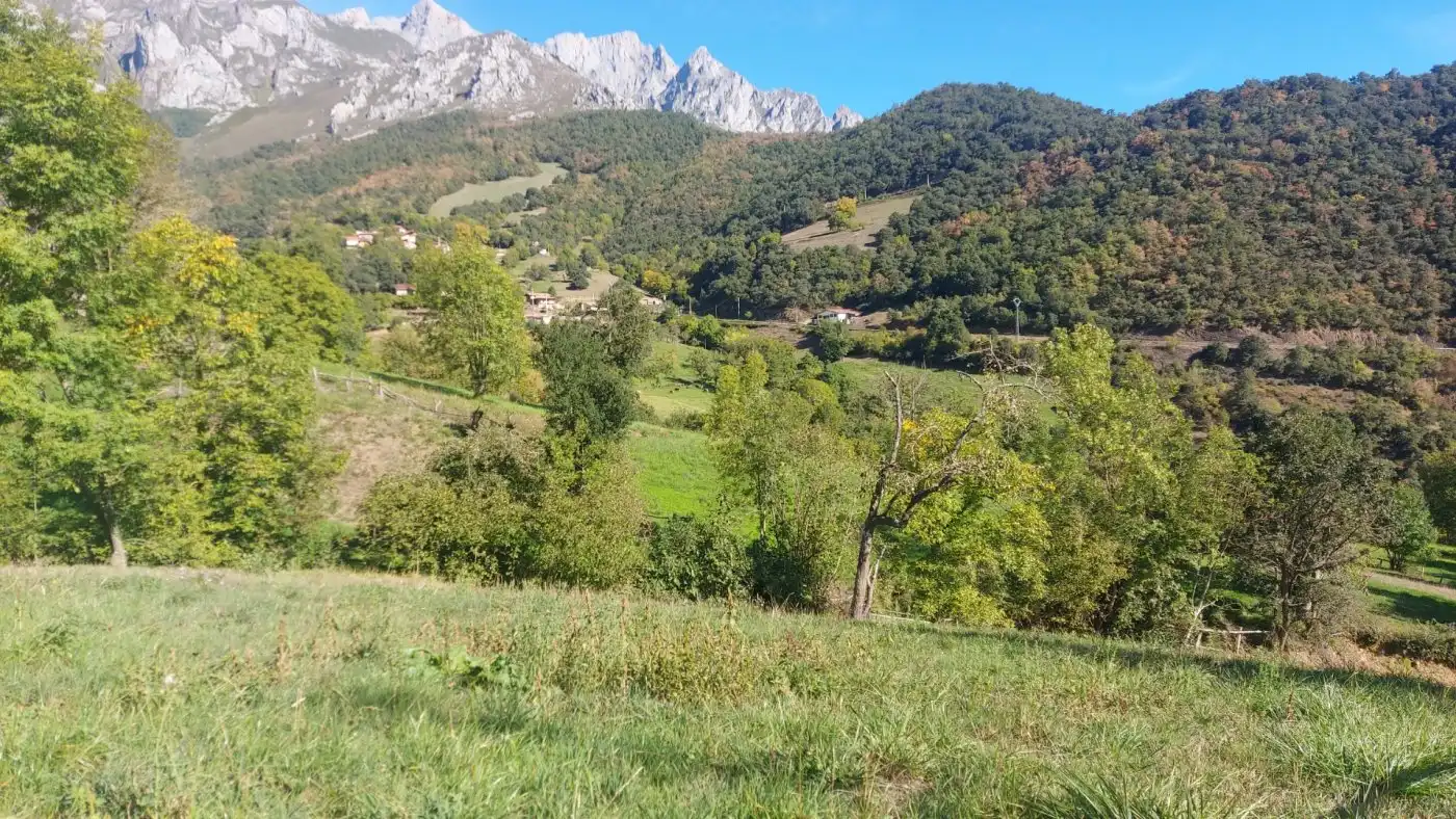 Terreno en venta en Camaleño