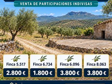 Rustikales Grundstück zum Verkauf in Puente Tablas - Puente Nuevo - Cerro Molina