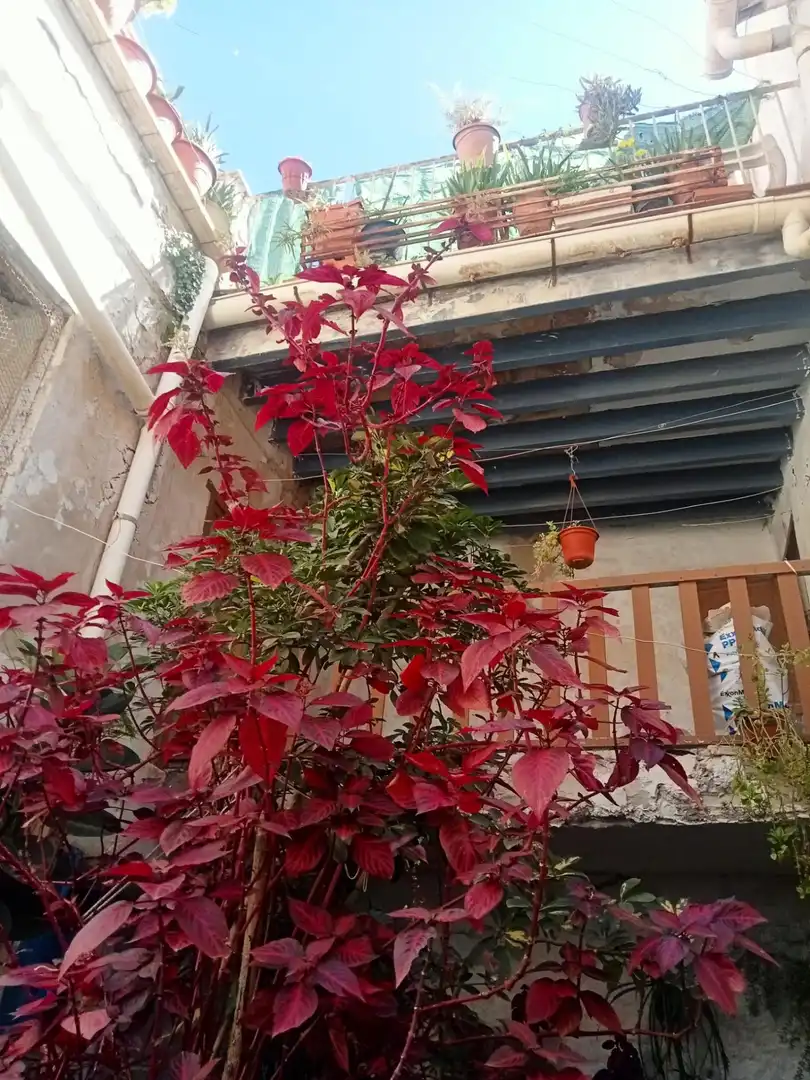 Terrassa de Casa adosada en venda en Monóvar  / Monòver amb Jardí privat, Terrassa i Balcó