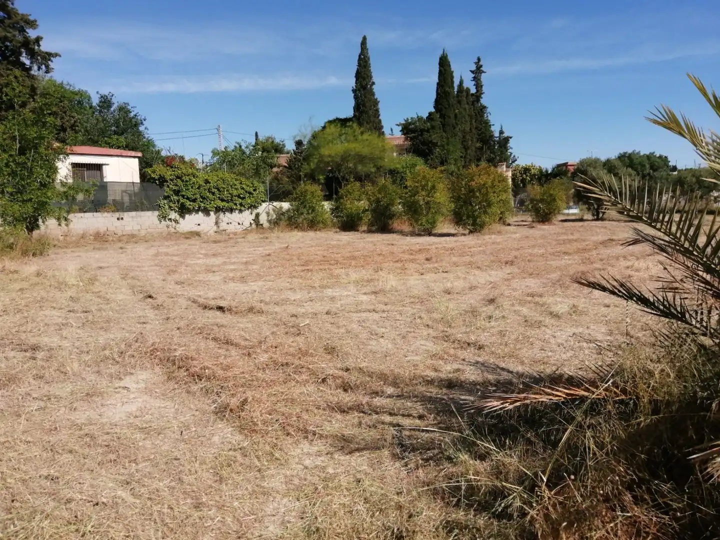 Rural land for sale in Musico Josep Serrano, imagen 5