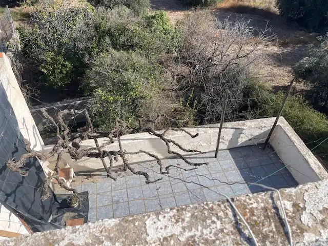 Terrassa de Casa o xalet en venda en Padules amb Jardí privat, Terrassa i Traster