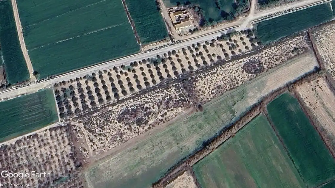 Terreno rustico in vendita a Catral, imagen 7