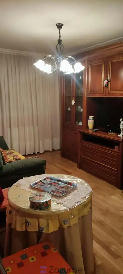 Living room of Apartments for rent in León Capital   with Parquet flooring, Storage room and Furnished