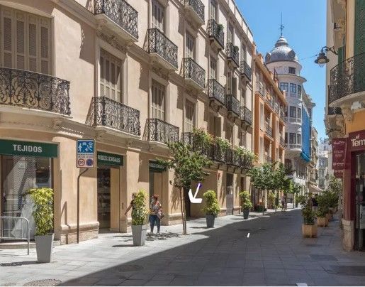 Vista exterior de Apartament de lloguer en Málaga Capital amb Aire condicionat, Calefacció i Moblat