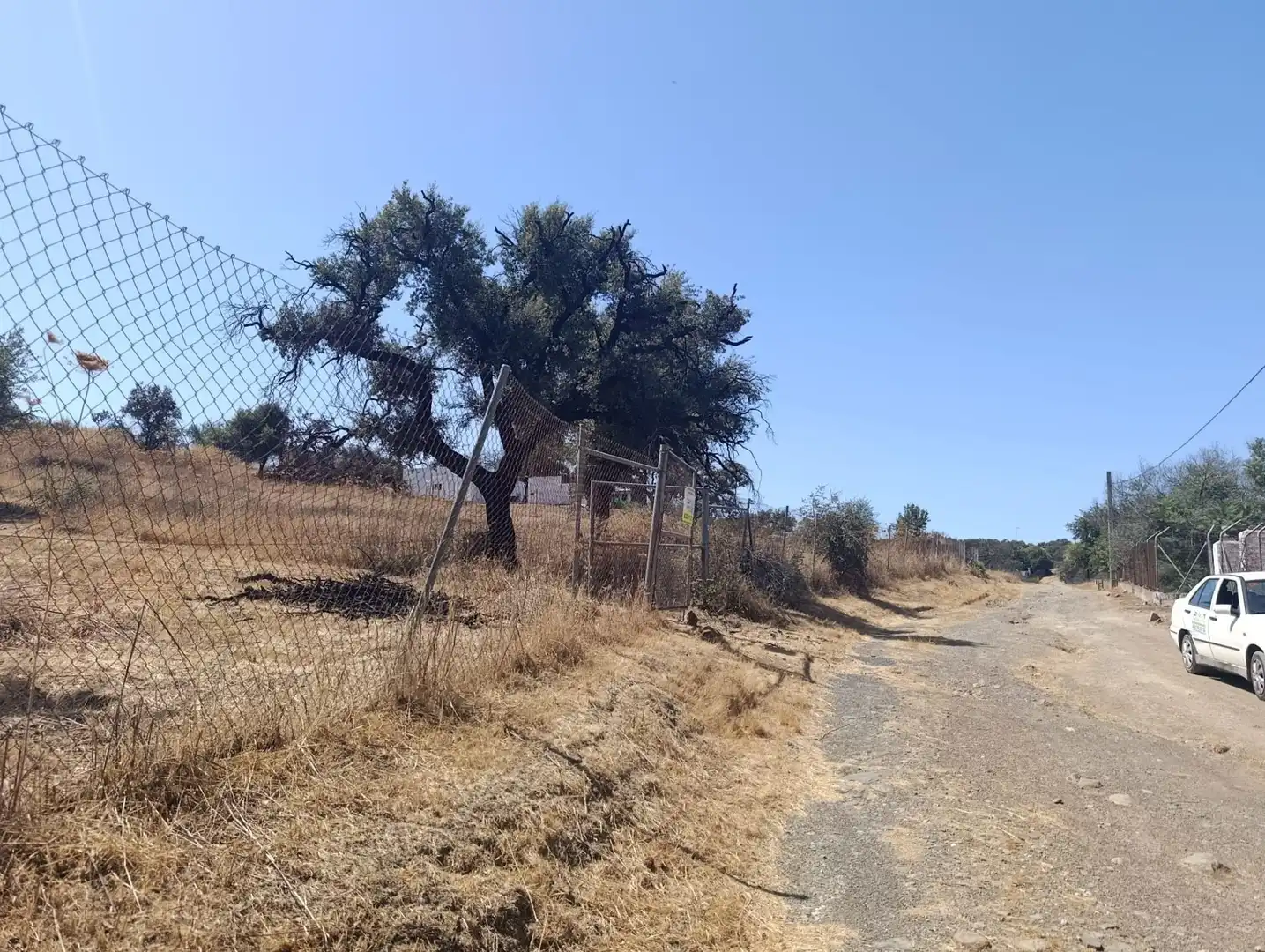 Terreni e lotti in vendita a Castilblanco de los Arroyos, imagen 3