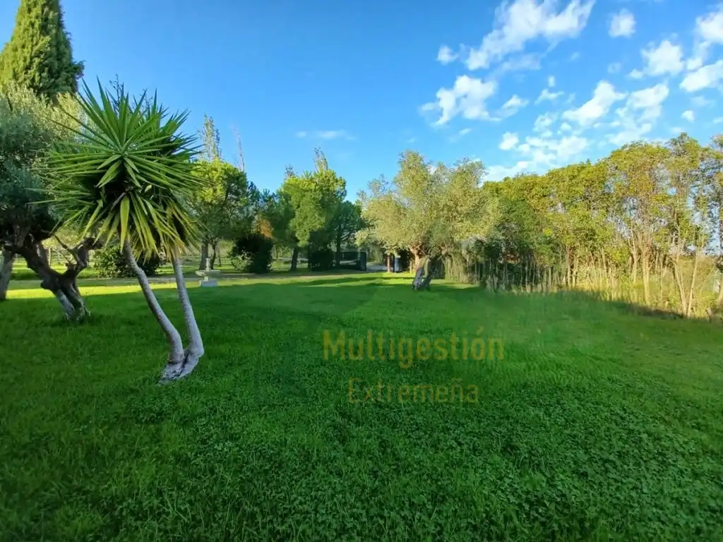 Chalet con piscina en venta en Sierra de Fuentes, imagen 41