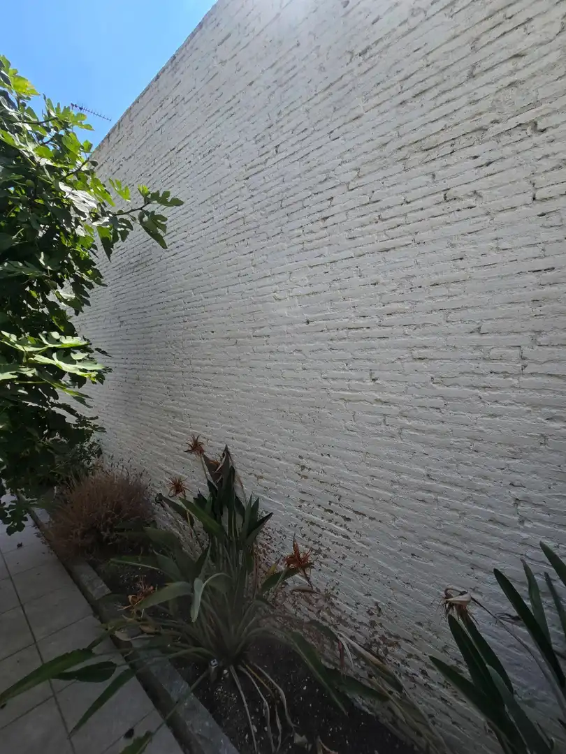 Jardín de Planta baja de alquiler en El Masnou con Aire acondicionado, Calefacción y Jardín privado