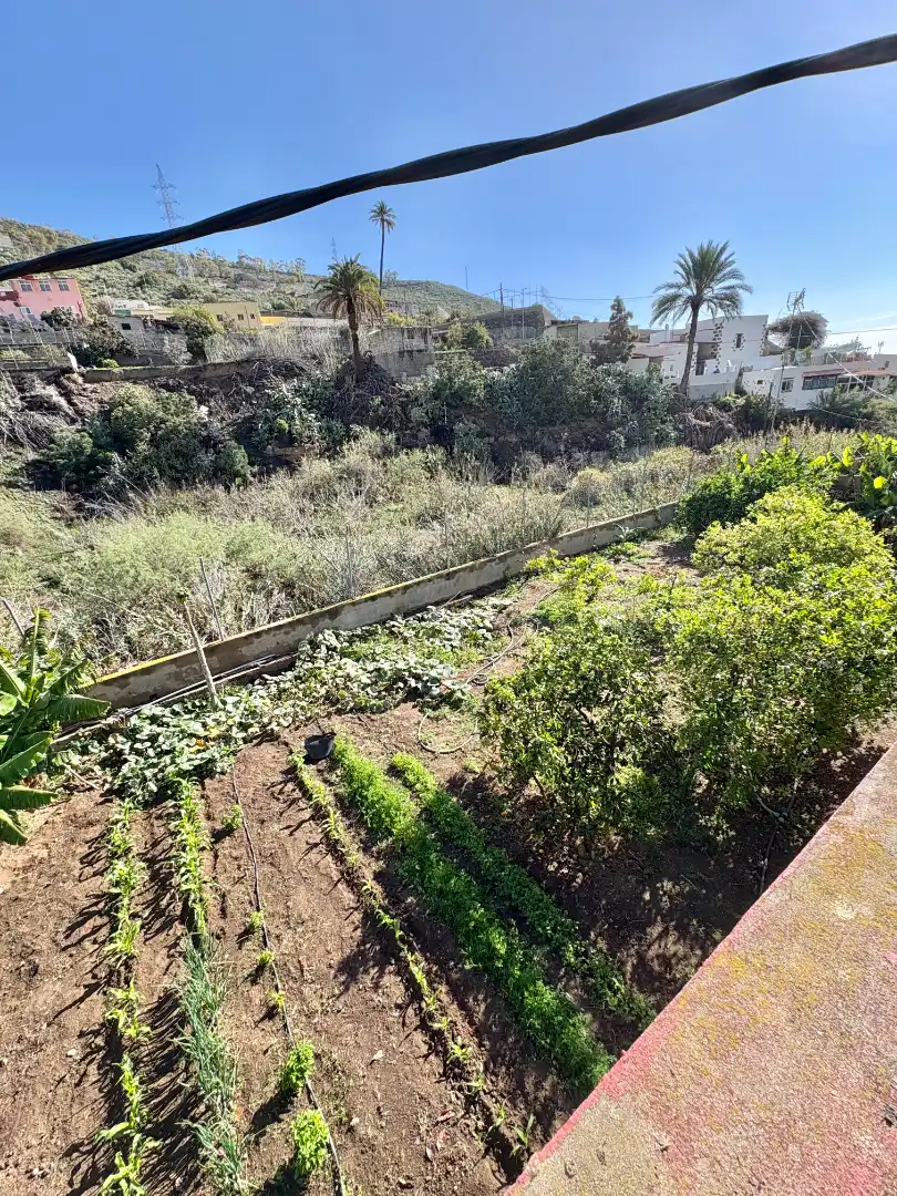 Casa o chalet en venta en Lugar El Mayorazgo, Caserones - La Higuera