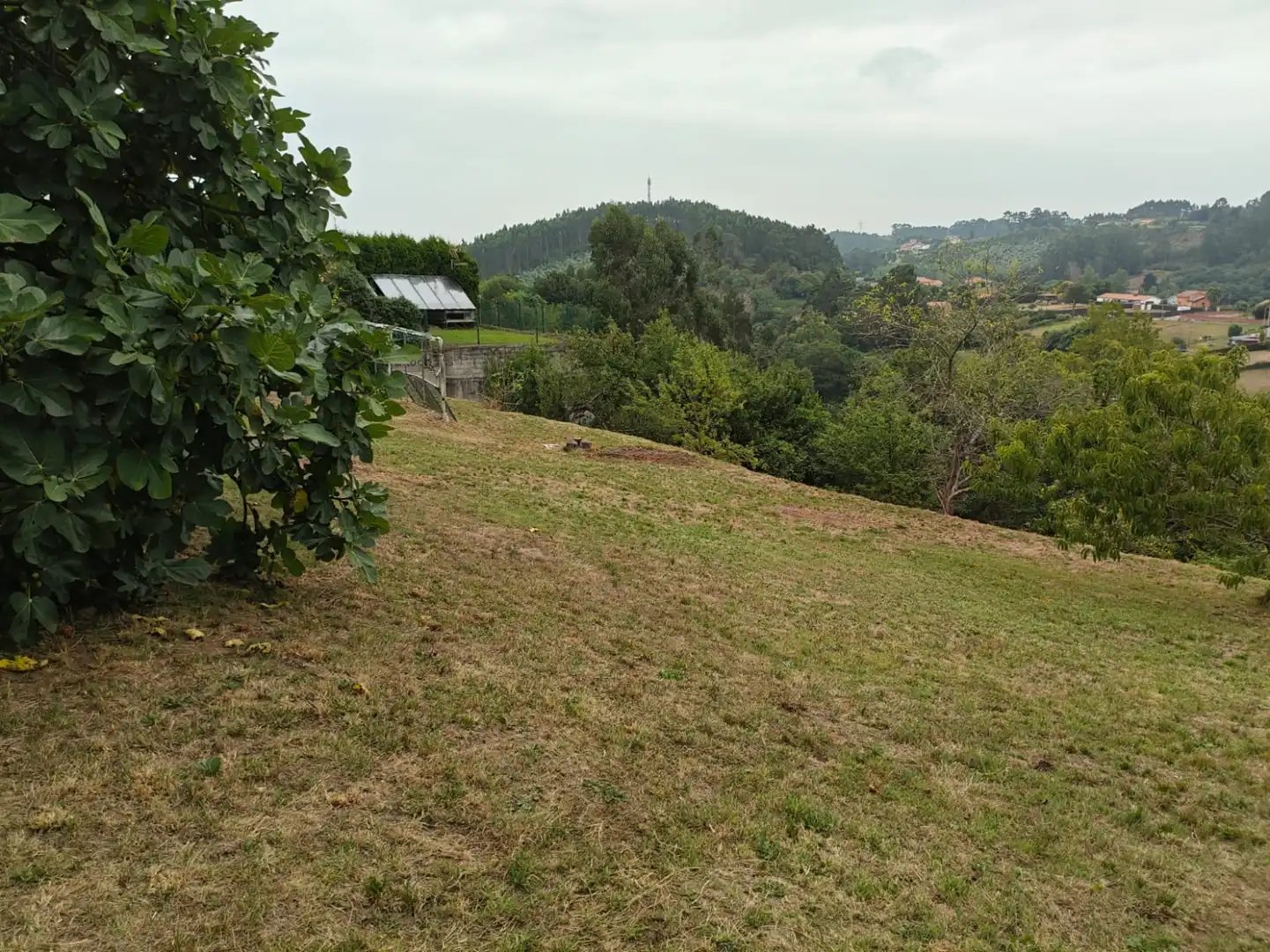 Houses for sale in Castrillón