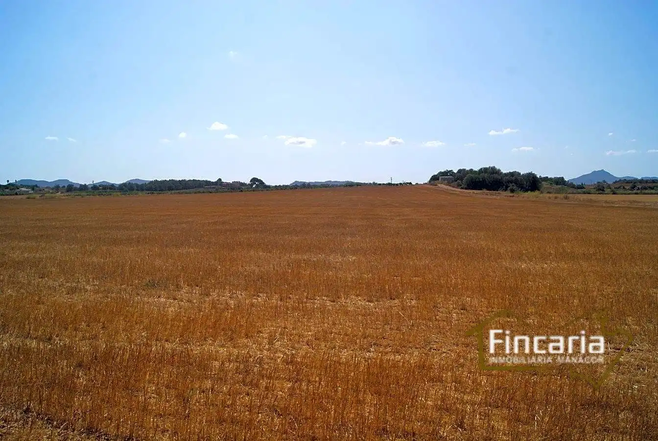 Residencial en venta en Vilafranca de Bonany