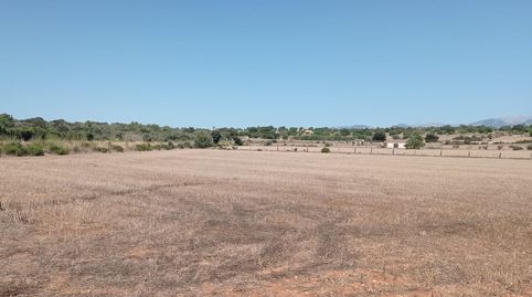 FINCA RÚSTICA CON LICENCIA EN TRÁMITE, immagine 2