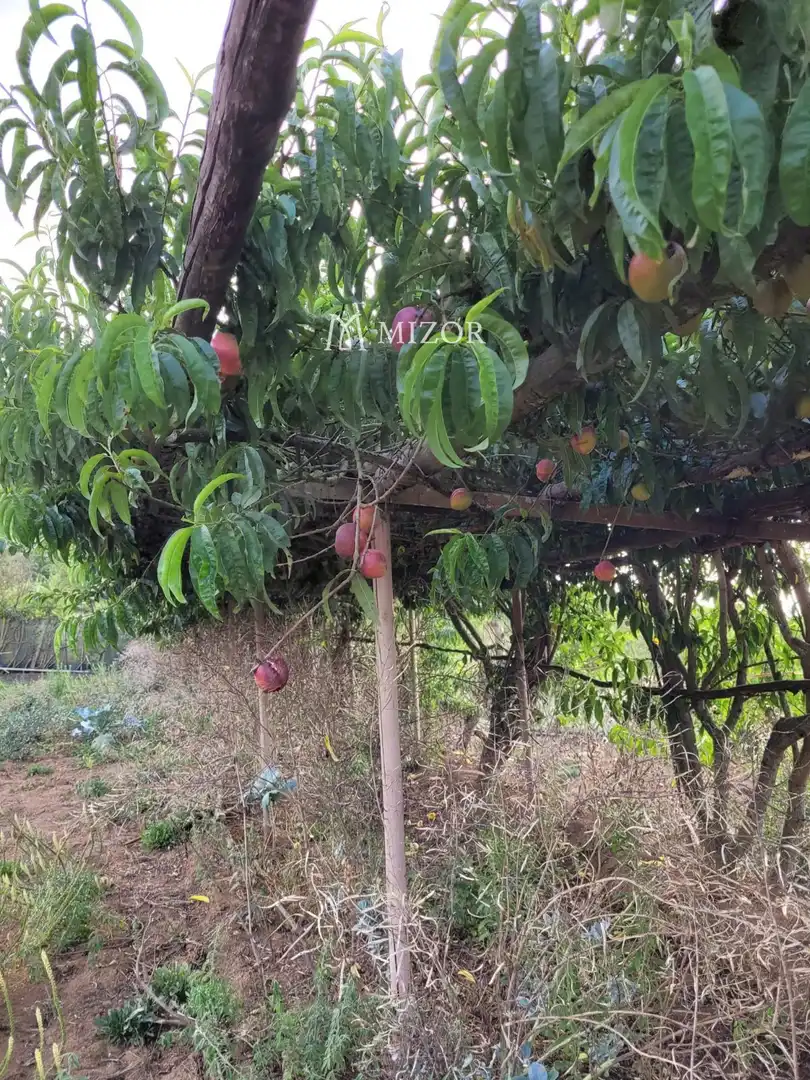 Rural land for sale in el rodeo, imagen 41