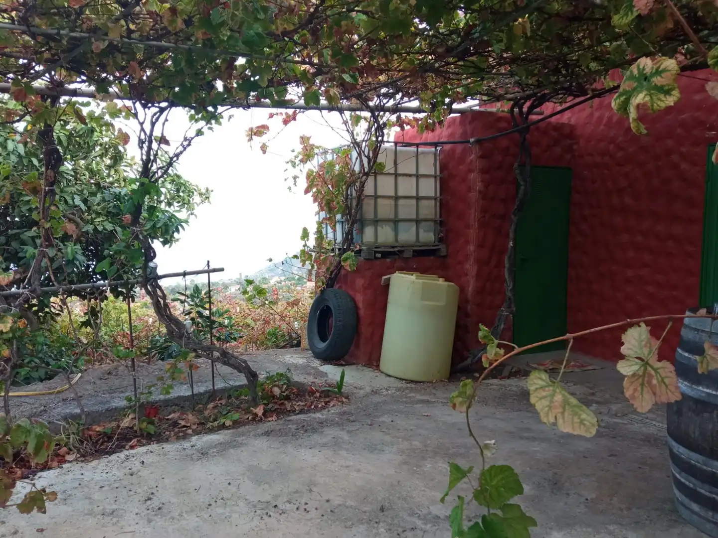 Terreno rustico in vendita a Las Cuevas - Los Gómez, imagen 33