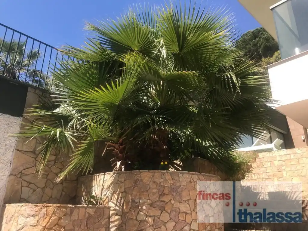 Casa con piscina en venta en canigo, imagen 8