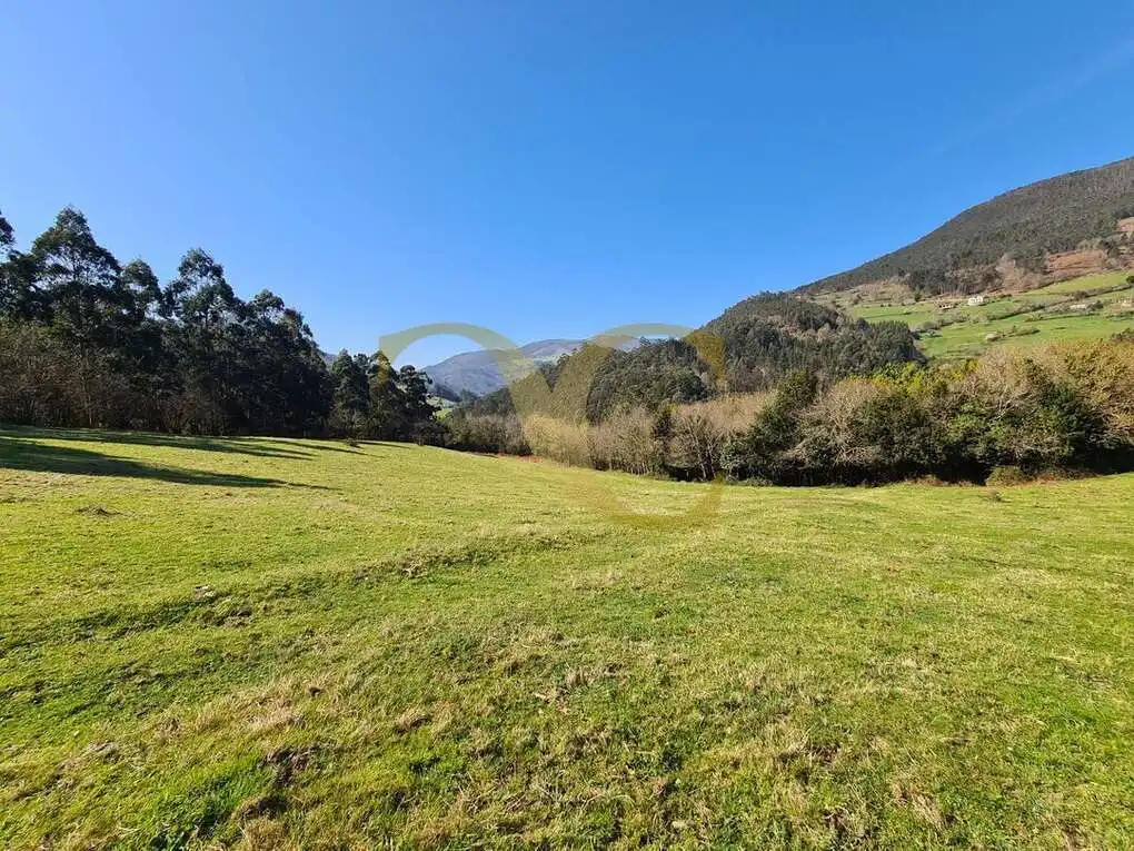 Casa o xalet en venda en Villayón amb Jardí privat