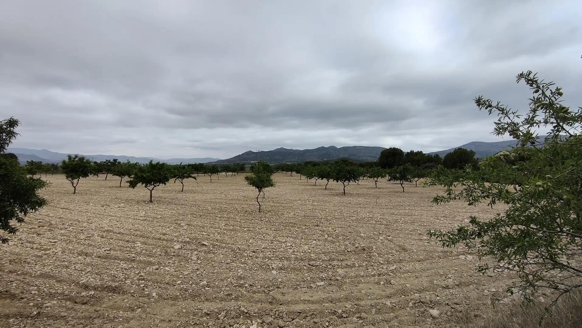 Terreno rustico in vendita a Plaça Poligono 3 271, imagen 6