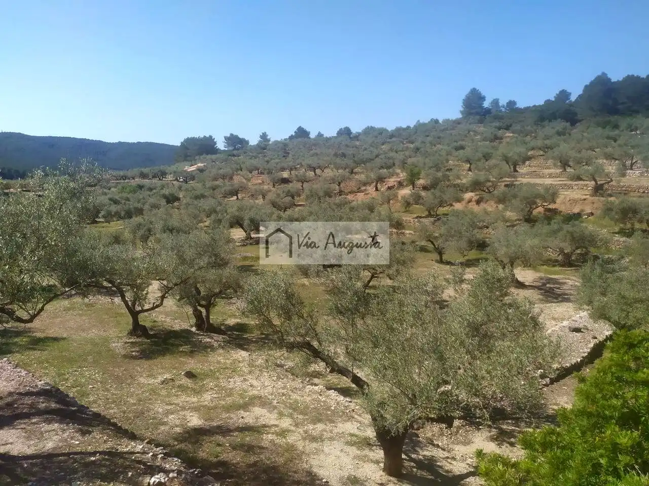Country homes for sale in Tortosa