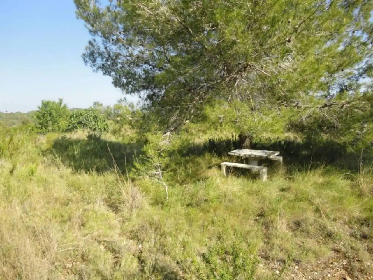 Terreny residencial en venda a Carretera Clarà 00, imagen 6