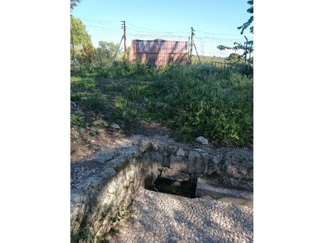 Terreny rústic en venda a Pioz, imagen 4