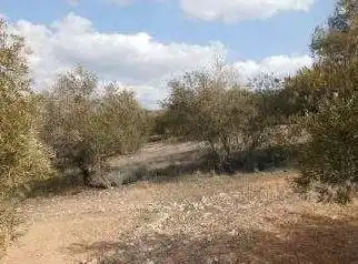 Terreni e lotti in vendita a Alcaudete