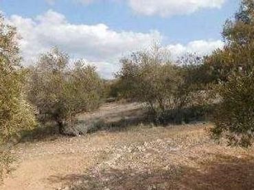 Rustikales Grundstück zum Verkauf in Alcaudete
