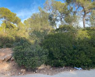 Land for sale in Calvià