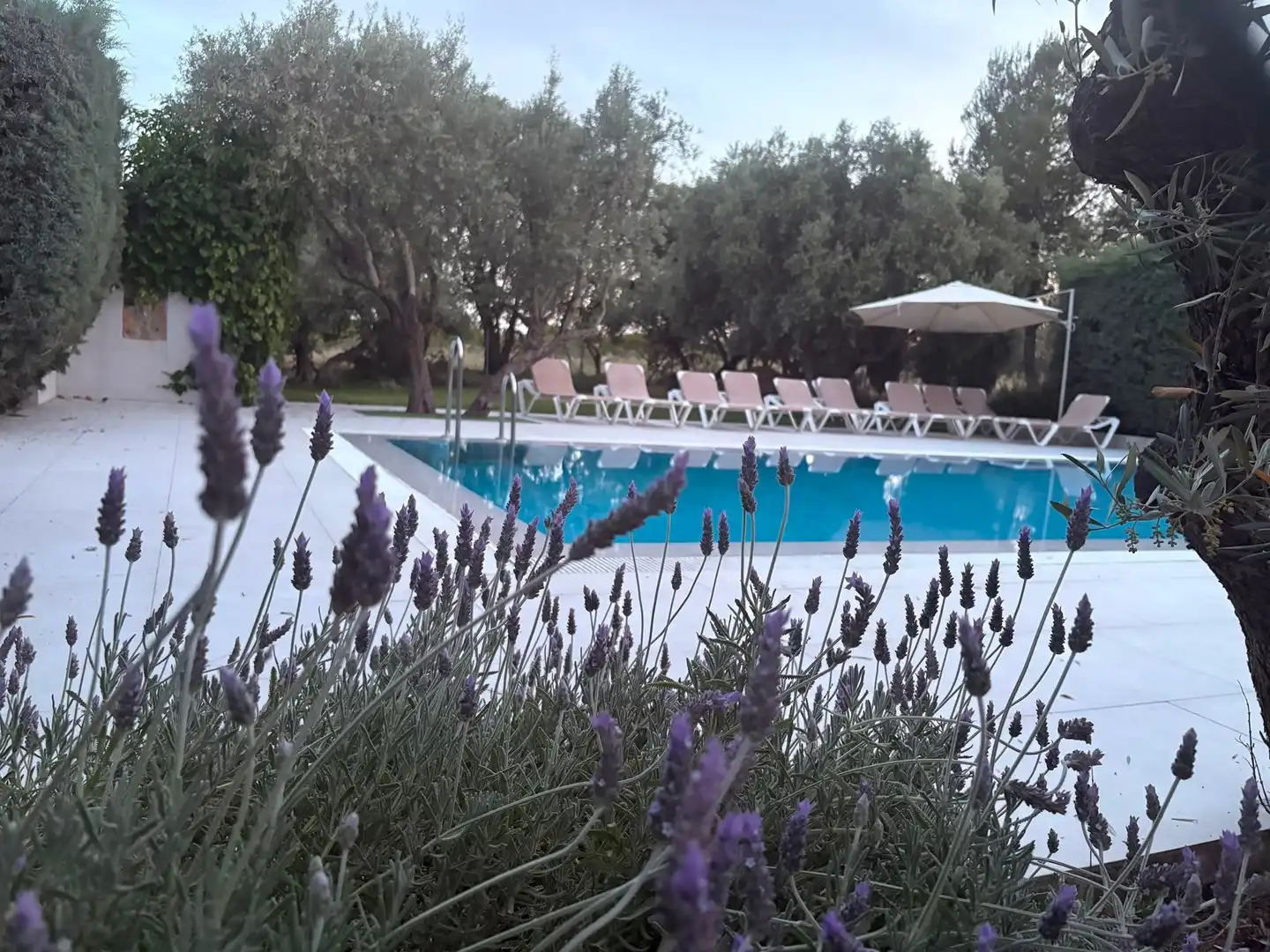 Piscina de Finca rústica en venta en Pozo Alcón con Aire acondicionado, Jardín privado y Terraza