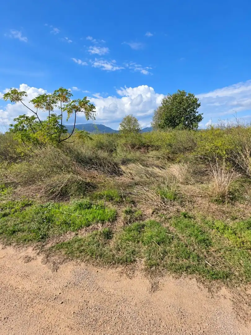 Rural land for sale in Polígono Sèquia de la Figuerola Dreta, imagen 26