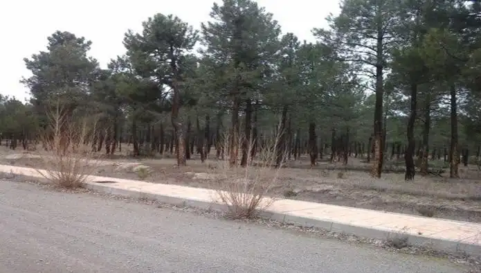 Terreni e lotti in vendita a Villanueva de Gómez, imagen 12