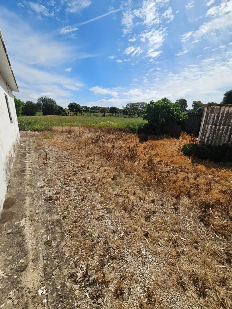 Maison rustique à vendre à Vejer, imagen 3