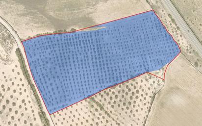 Land for sale in Arbeca