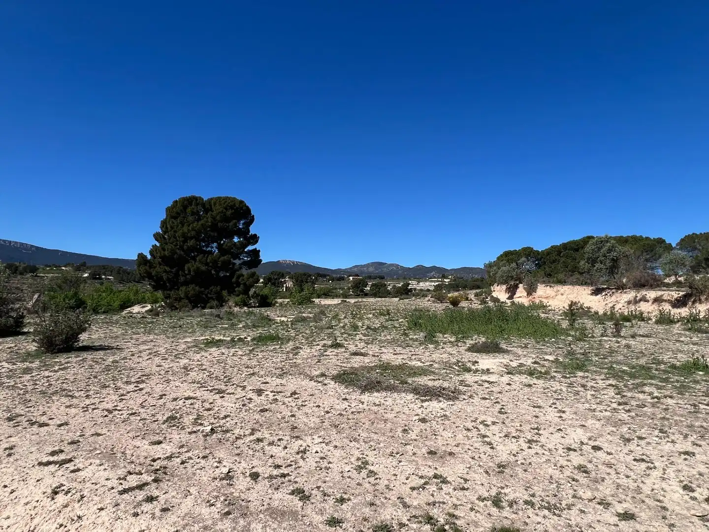 Country homes for sale in Castalla