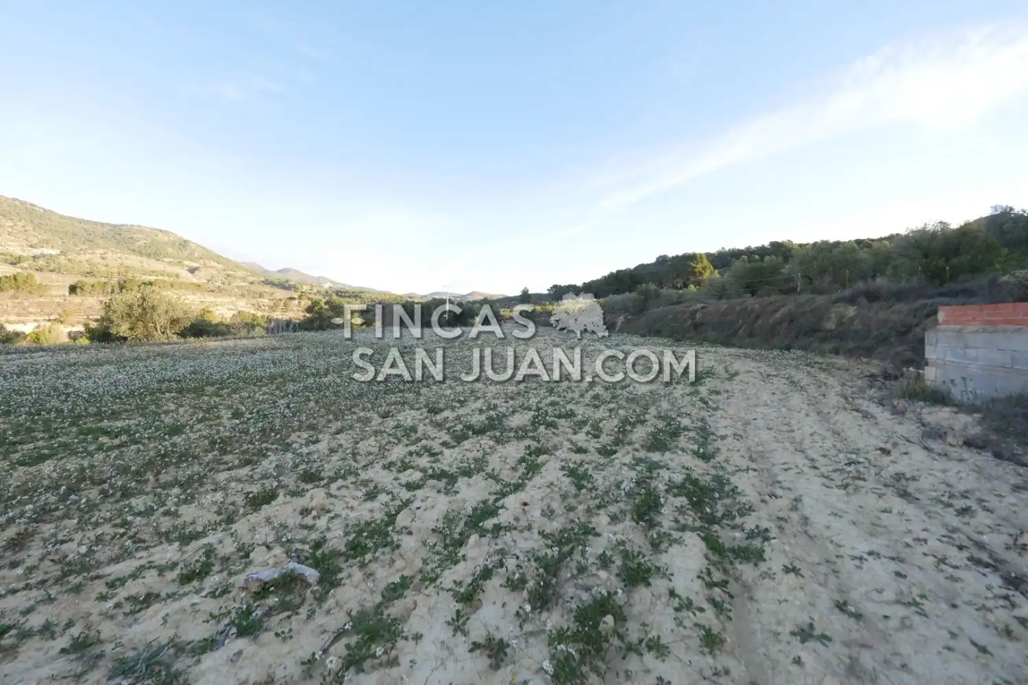 Terreny residencial en venda a Torremanzanas / La Torre de les Maçanes, imagen 13
