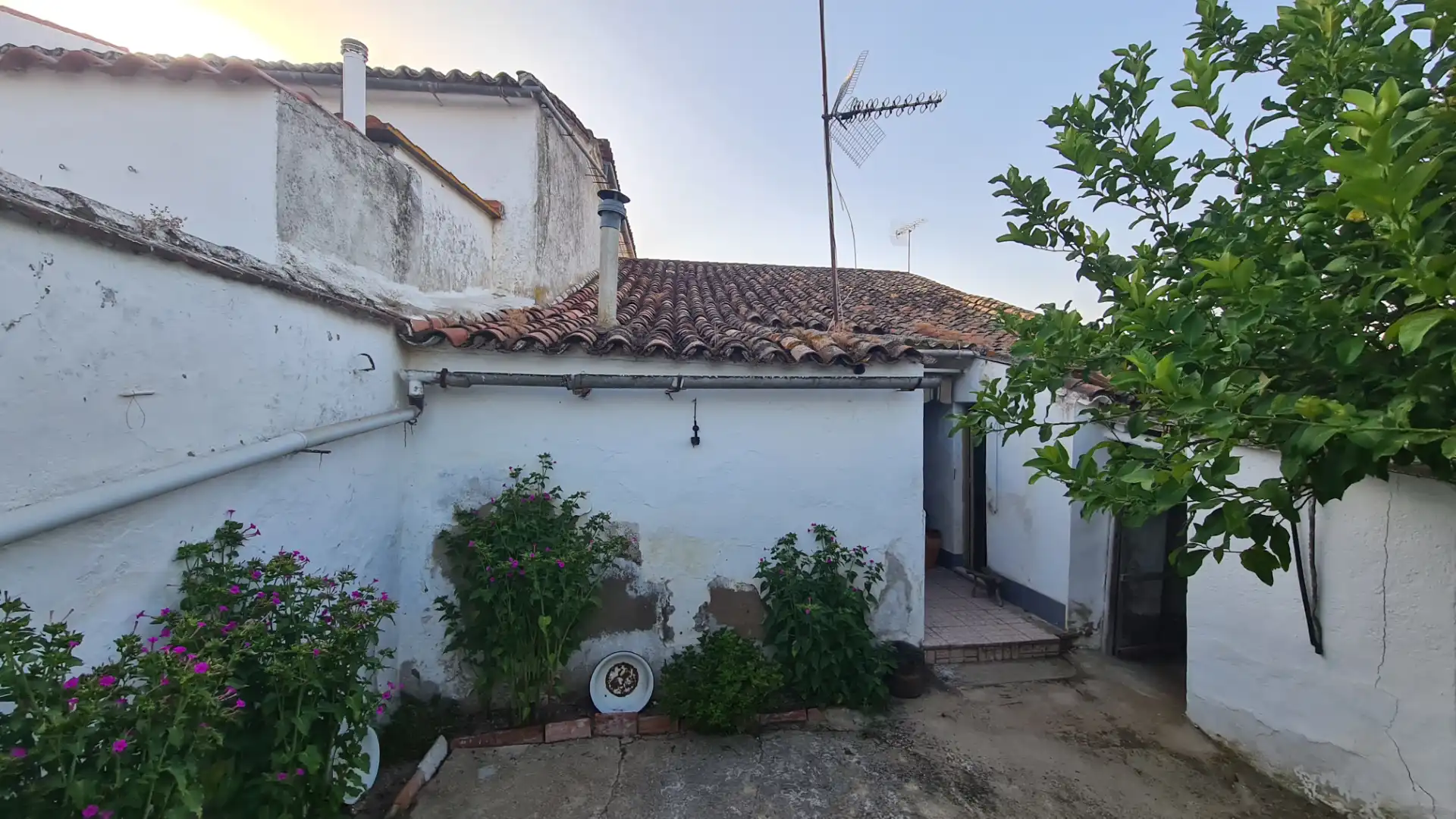 House for sale in Azuaga, imagen 13